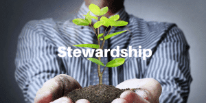 Servant Leadership Workplace-Steward