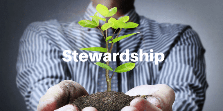 Servant-Leaders Steward 7 Things