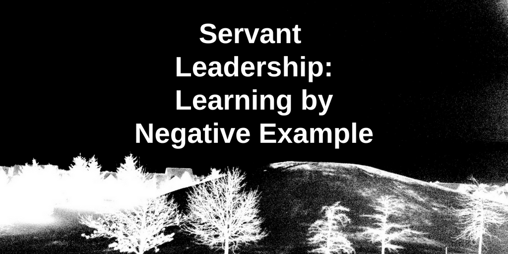 Servant Leadership Learning by Negative Example
